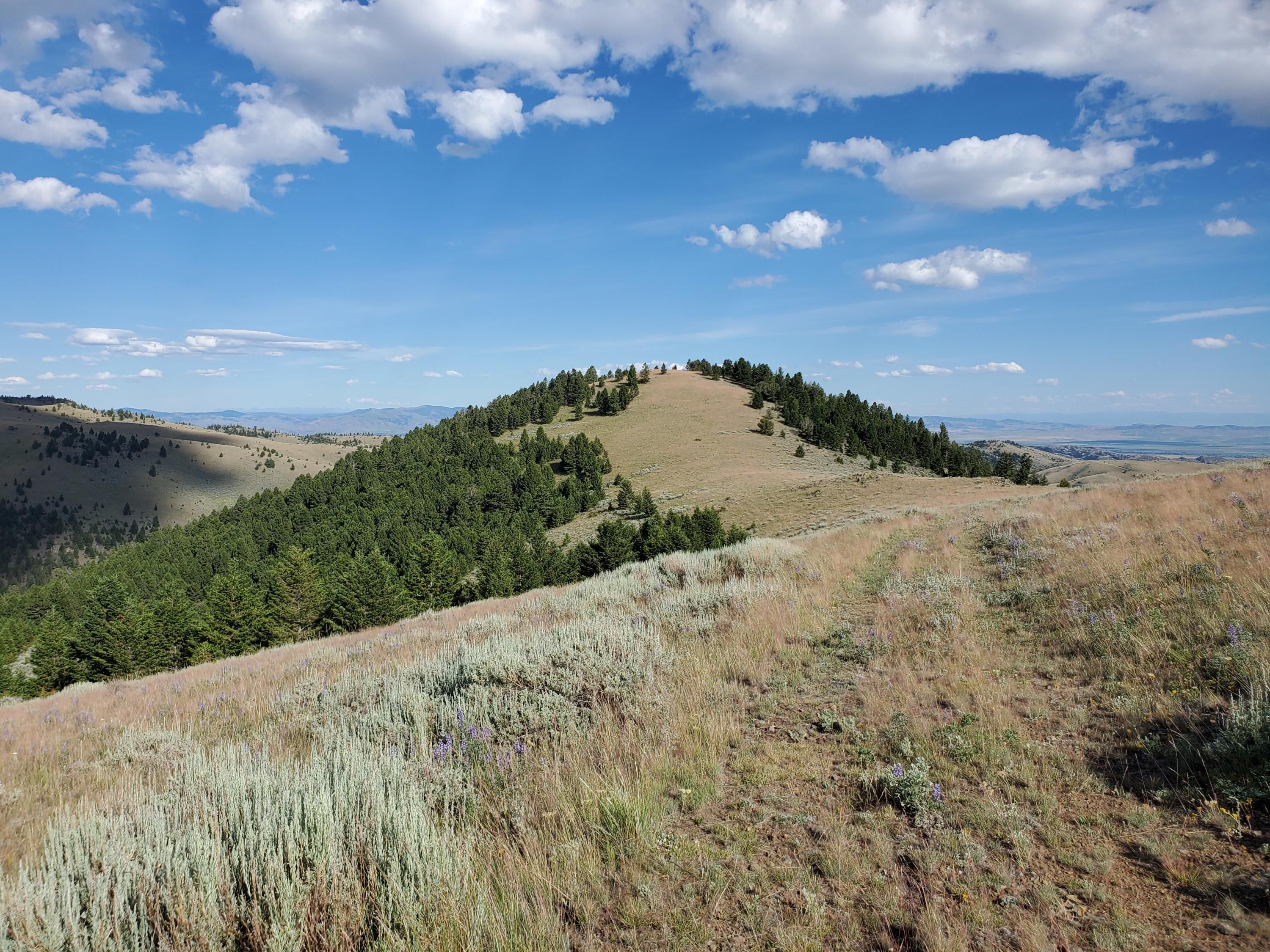 Townsend, Broadwater County, MT Undeveloped Land for sale Property ID