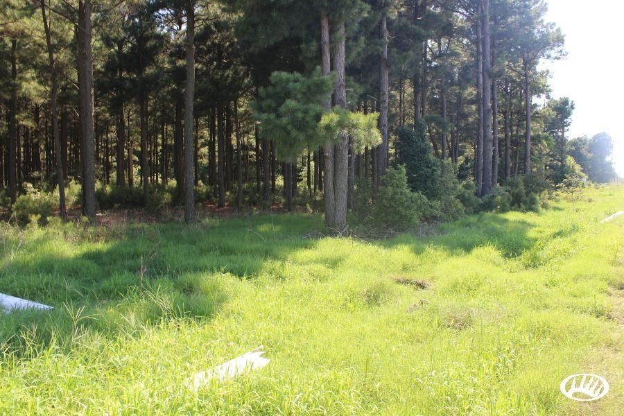 County Road 140, Lot WP001, Beedeville, AR 72347 LandWatch