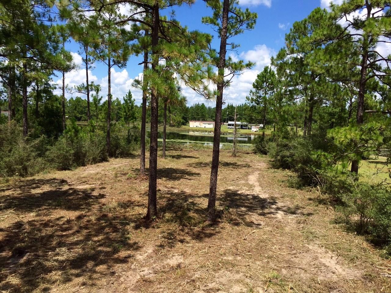 Defuniak Springs, Walton County, FL Undeveloped Land, Lakefront