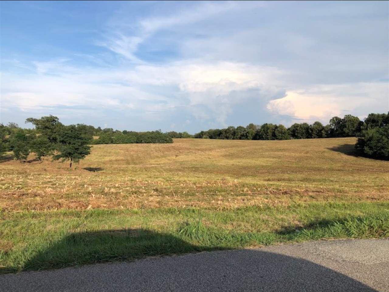 Gadsden, Crockett County, TN Undeveloped Land for sale Property ID