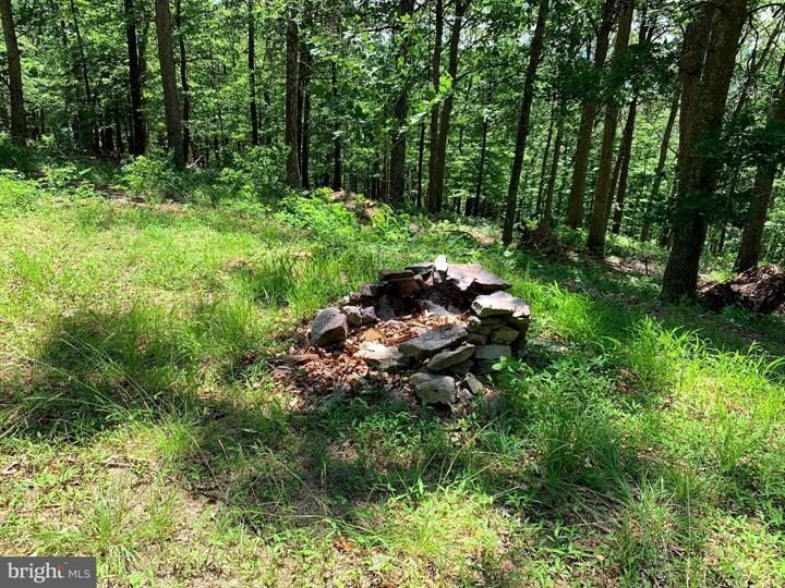 HIGH ROCK ROAD, Lost City, WV 26810 MLS WVHD106076 LandWatch