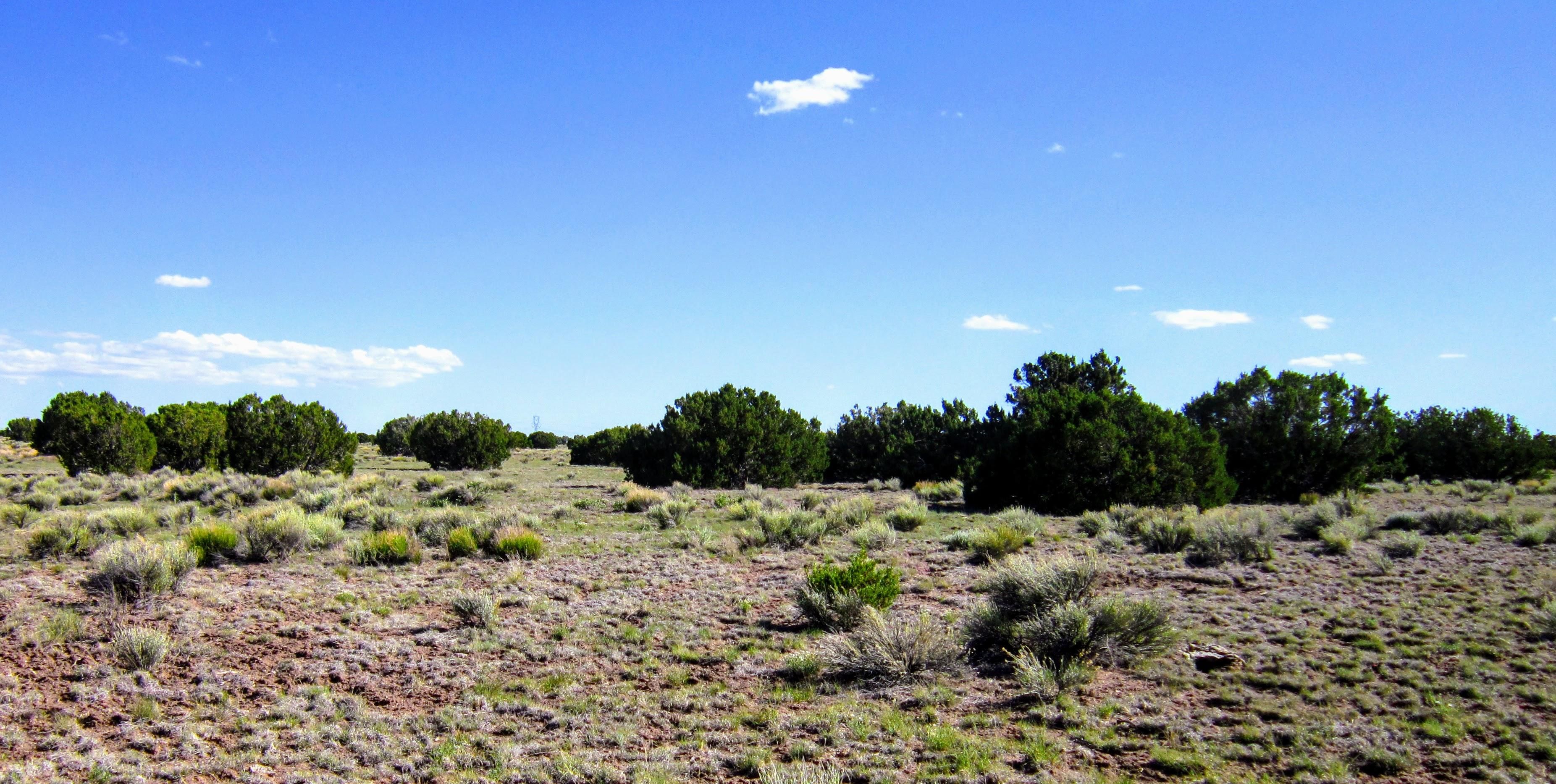 Springerville, Apache County, AZ Recreational Property, Undeveloped