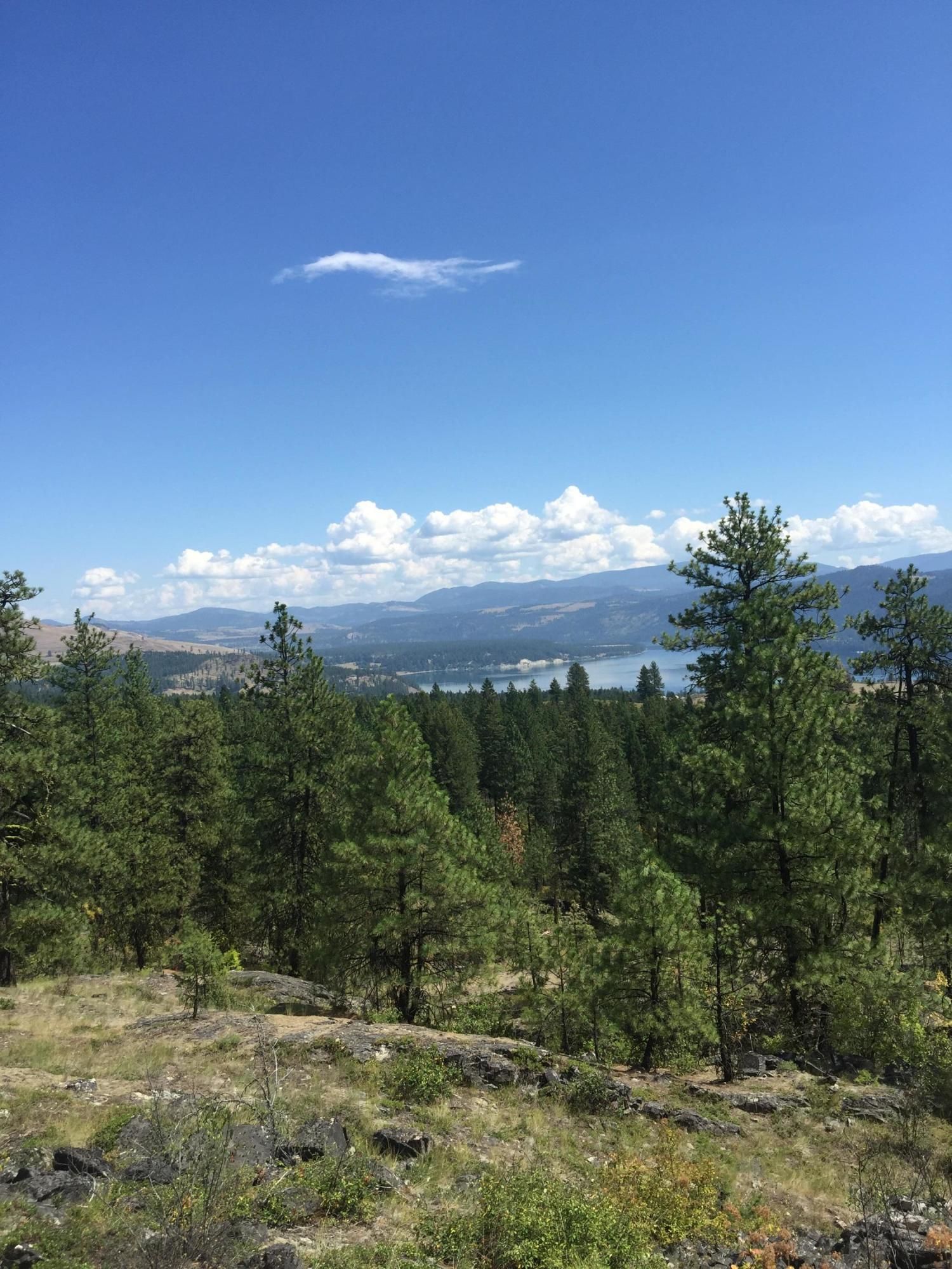 Kettle Falls, Ferry County, WA Undeveloped Land, Lakefront Property