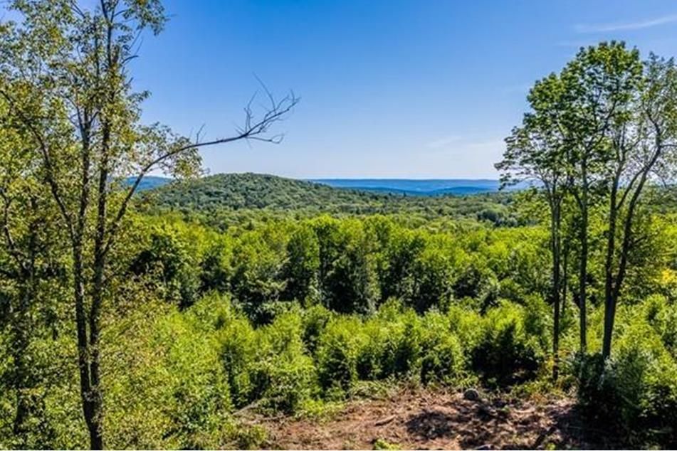 Goshen, Hampshire County, MA Recreational Property, Undeveloped Land