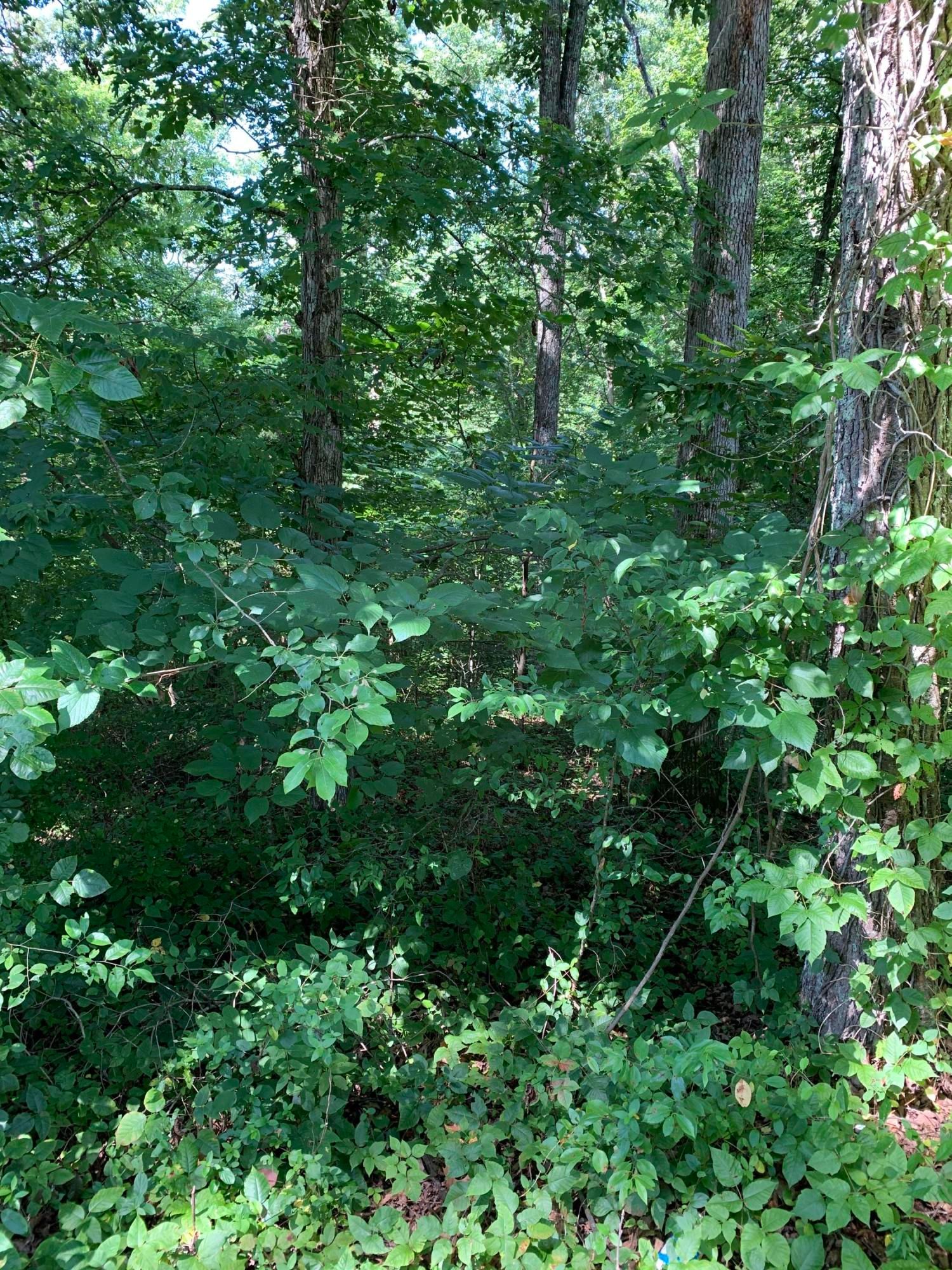 Andersonville, Anderson County, TN Undeveloped Land, Homesites for sale