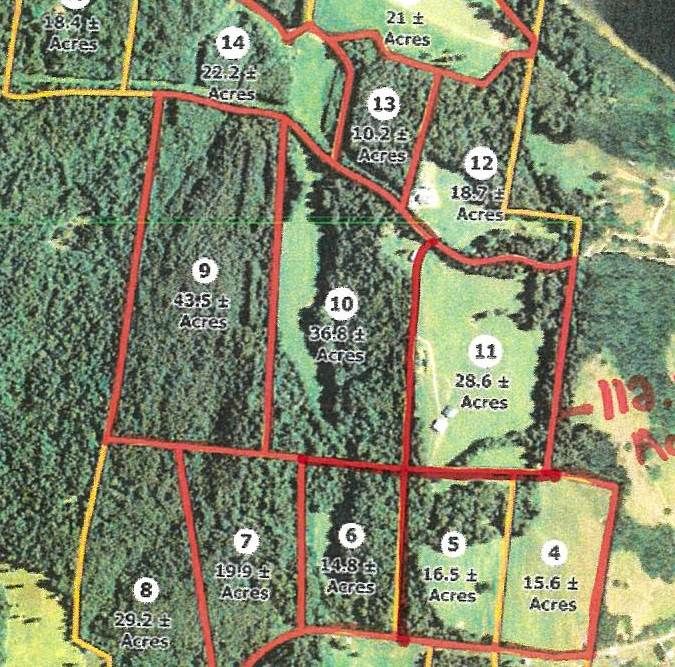 Clifton, Wayne County, TN Undeveloped Land for sale Property ID