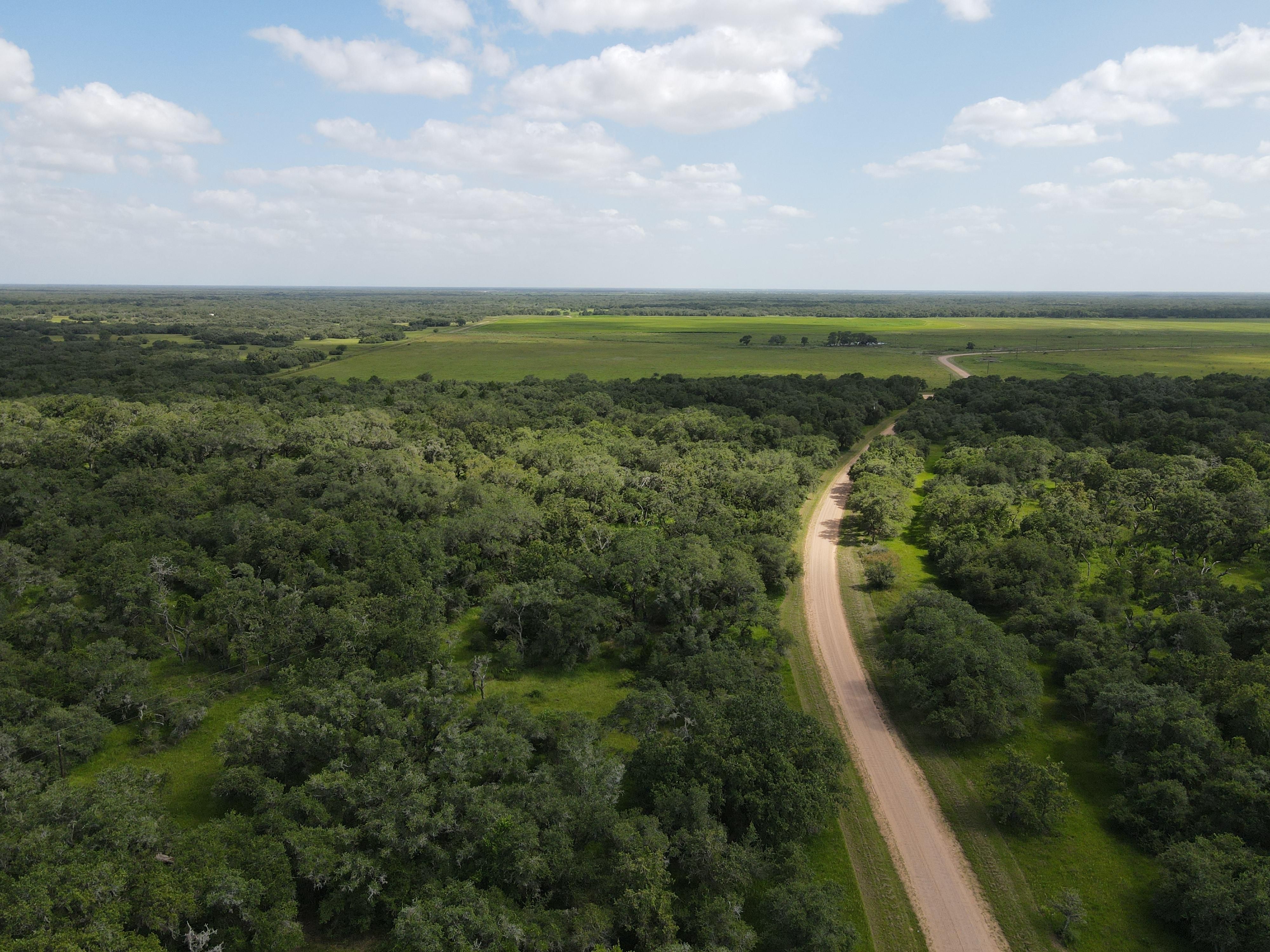 CR 15AA, Ezzell, TX 77964 MLS 266.00 ACRES EZZELL CR 15AA
