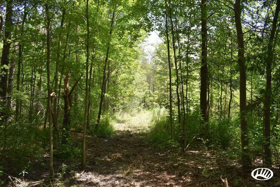 Bristolville, Trumbull County, OH Recreational Property, Timberland