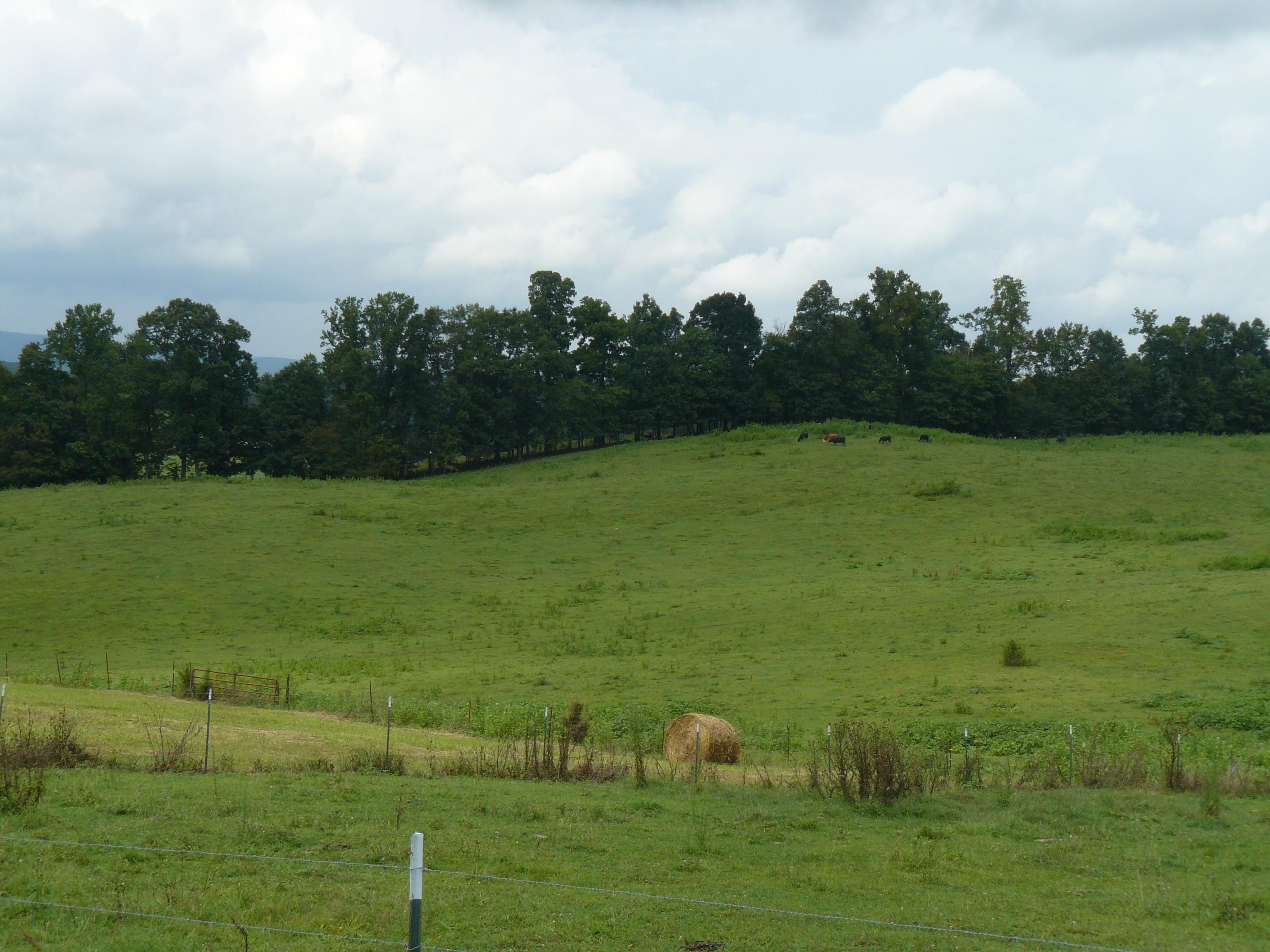 Rutledge, Grainger County, TN Horse Property for sale Property ID 338711339 LandWatch