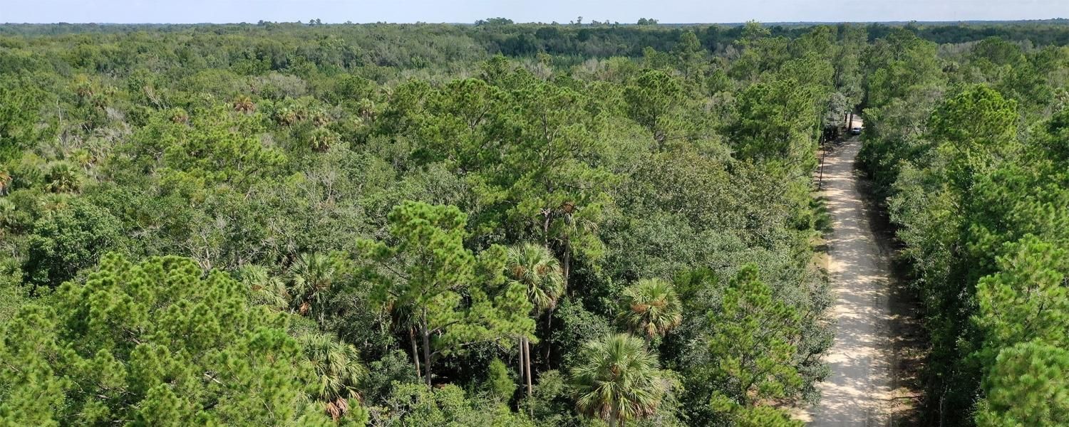 Inglis, Levy County, FL Recreational Property, Timberland Property