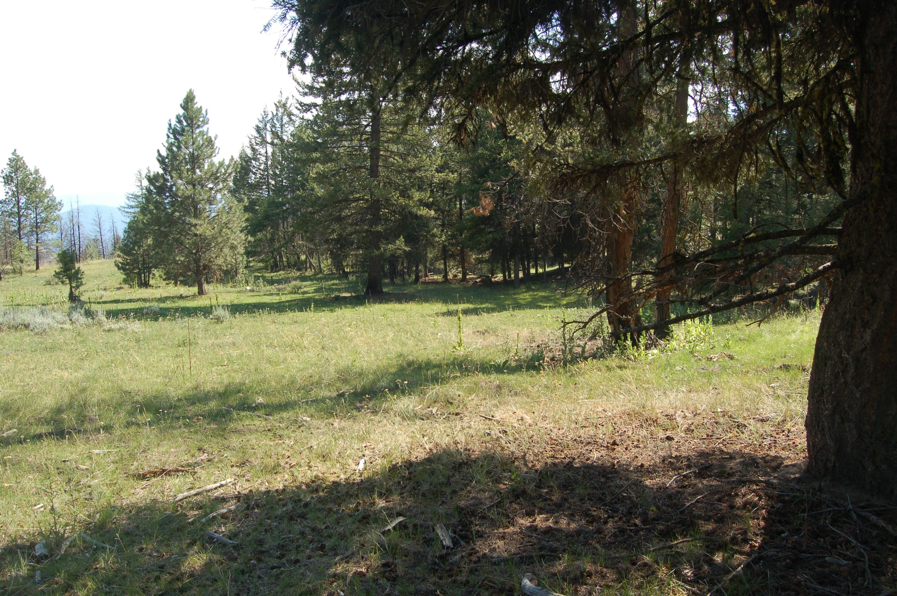 Tonasket, Okanogan County, WA Recreational Property, Hunting Property