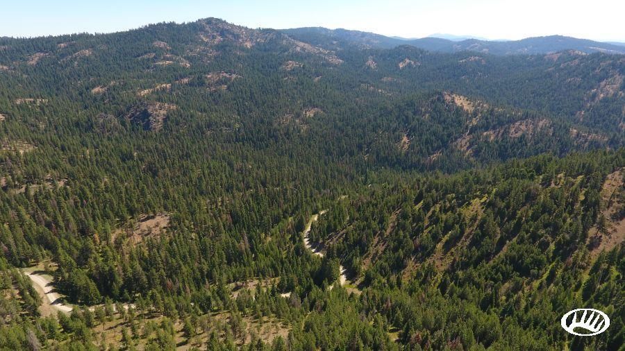 Long Creek, Grant County, OR Recreational Property, Timberland Property