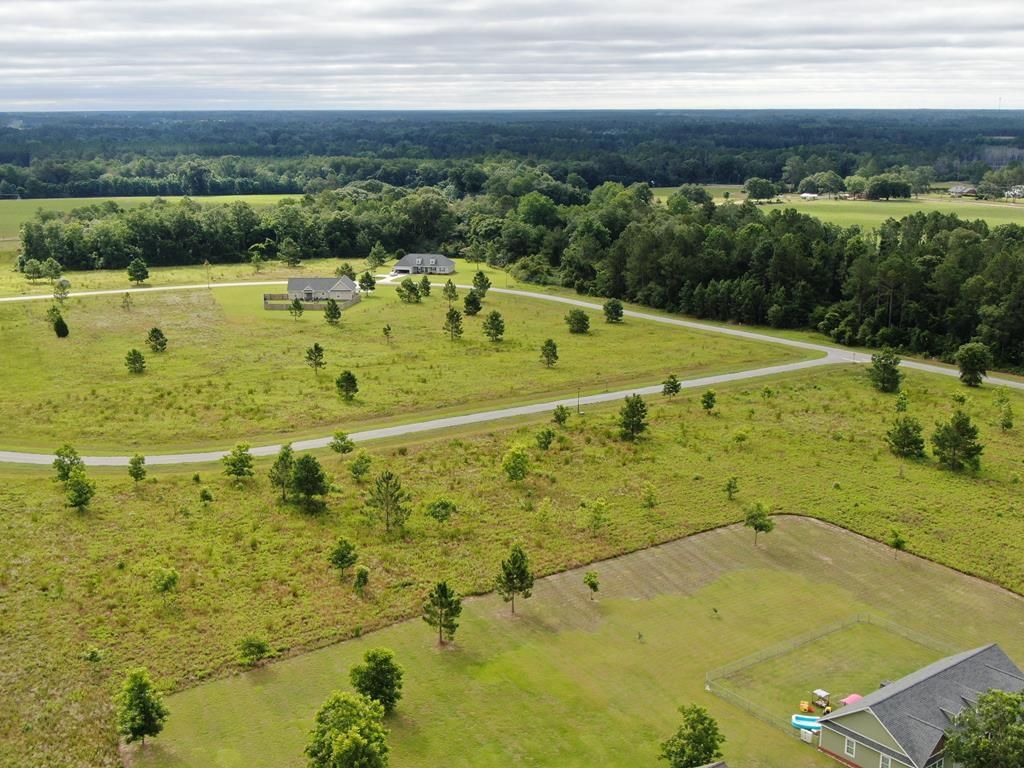 Douglas, Coffee County, GA Undeveloped Land, Homesites for sale