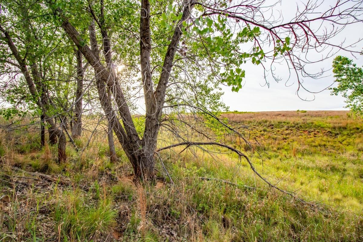 Childress, Childress County, TX Farms and Ranches, Recreational