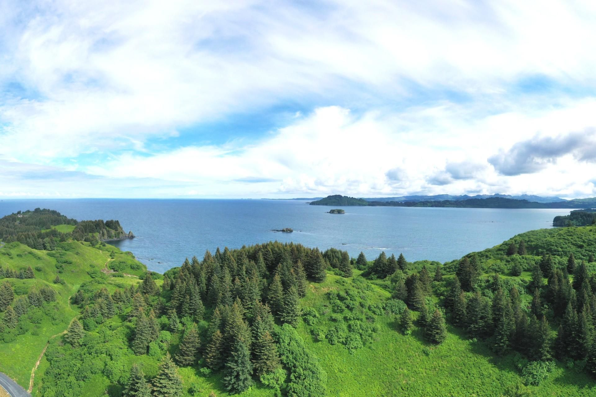 Kodiak, Kodiak Island Borough, AK Recreational Property, Timberland