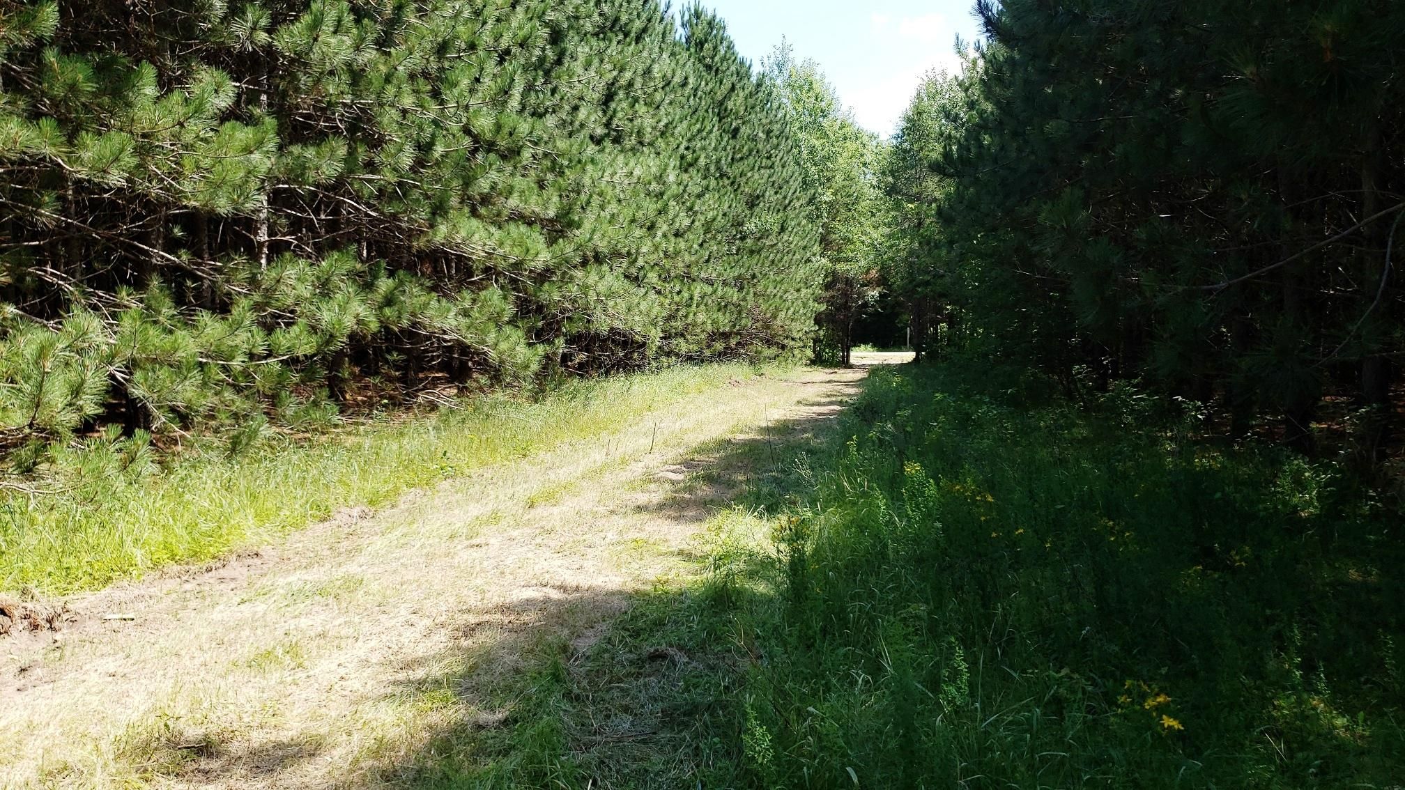 Crivitz, County, WI Recreational Property, Timberland