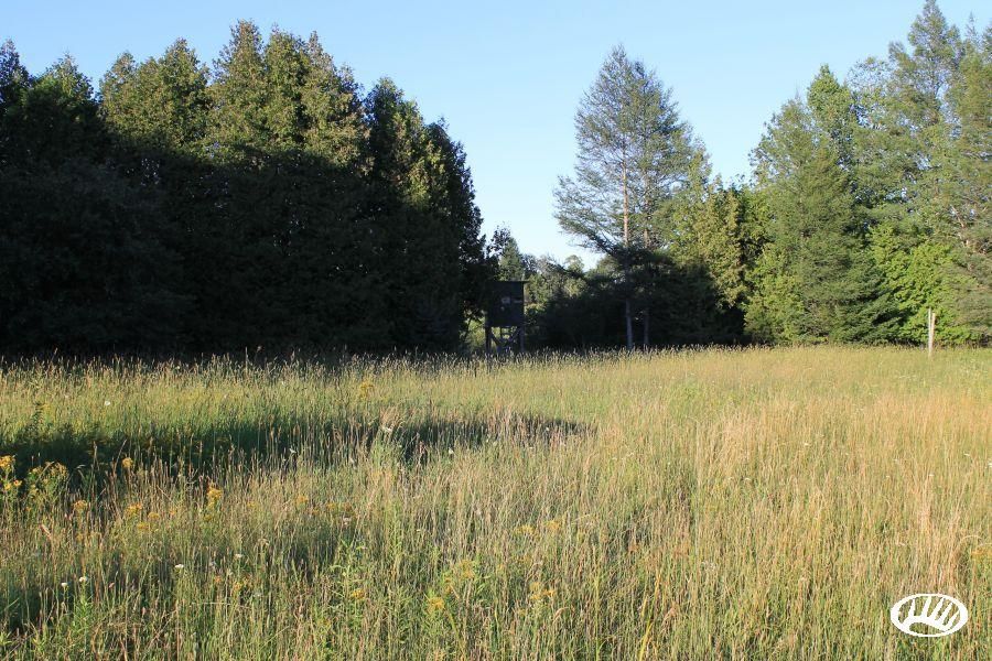 Sturgeon Bay, Door County, WI Recreational Property, Timberland Property, Hunting Property for