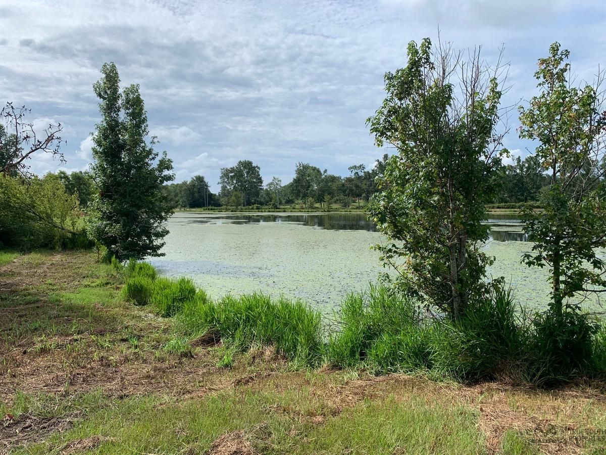 Keysville, Burke County, GA Recreational Property, Hunting Property for