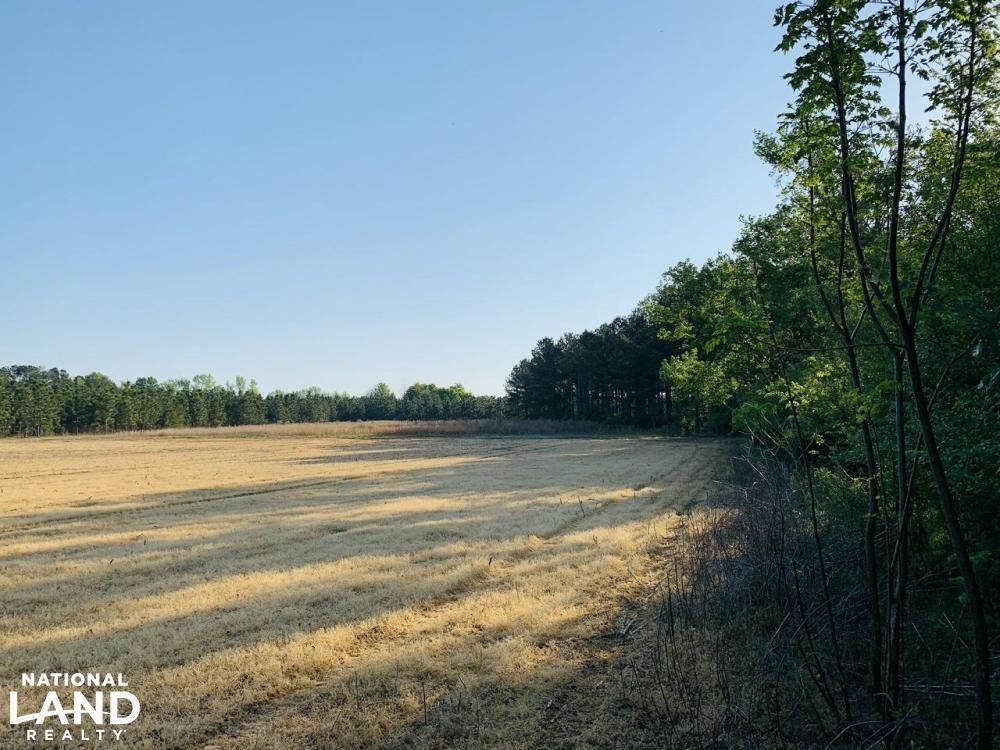 Blenheim, Marlboro County, SC Farms and Ranches, Recreational Property, Hunting Property for