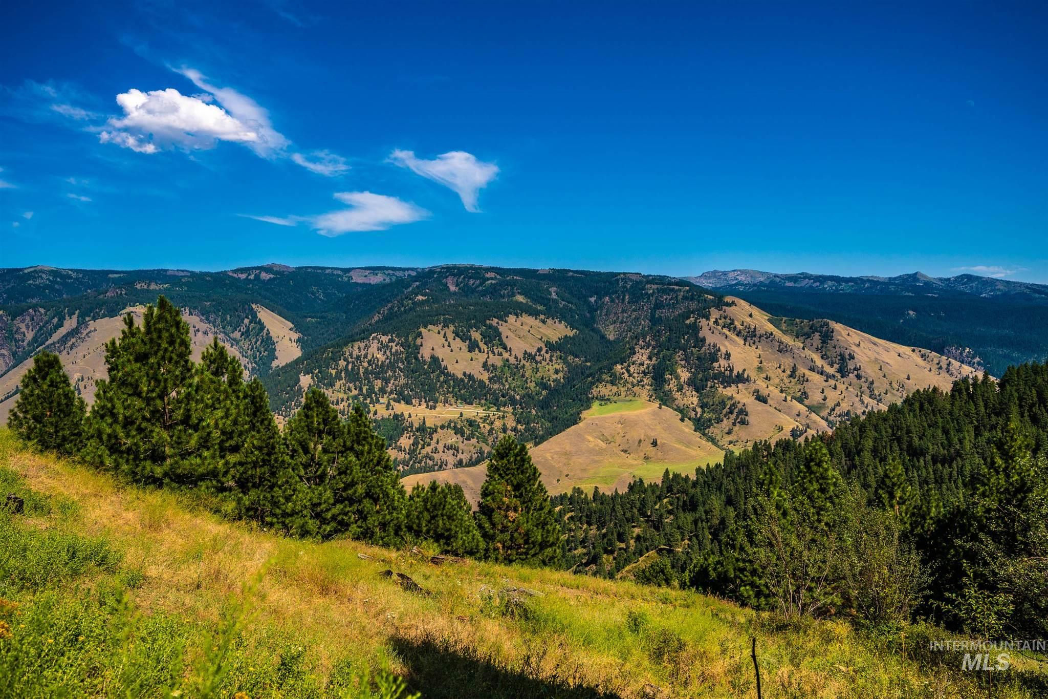 Pollock, Idaho County, ID Undeveloped Land for sale Property ID