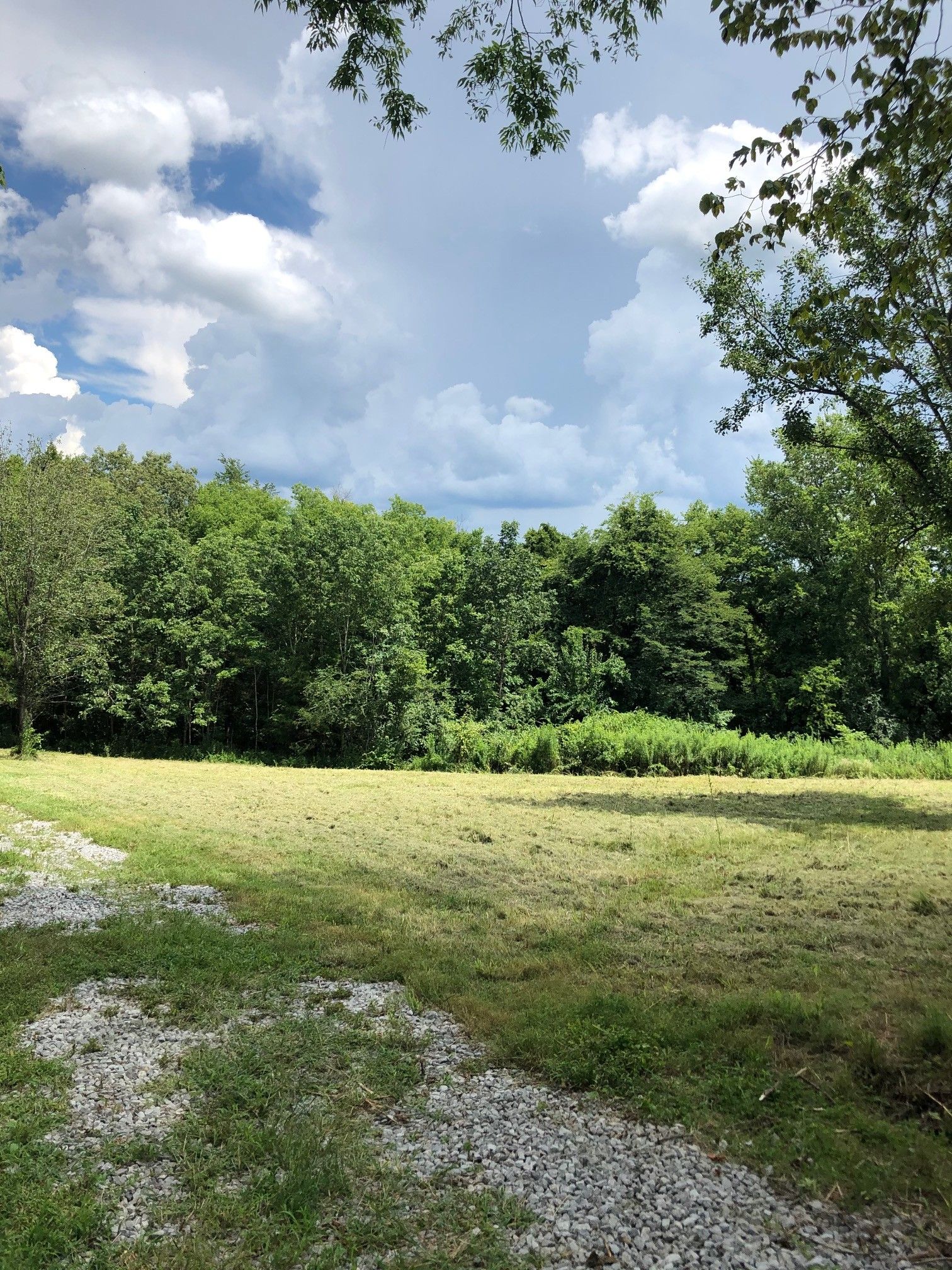 Castalian Springs, Sumner County, TN Undeveloped Land for sale Property ID 338763717 LandWatch