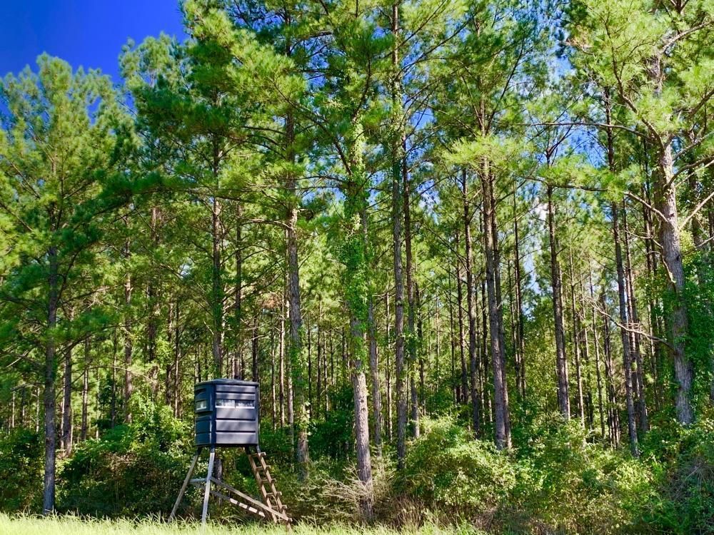 Red Level, Covington County, AL Recreational Property, Timberland