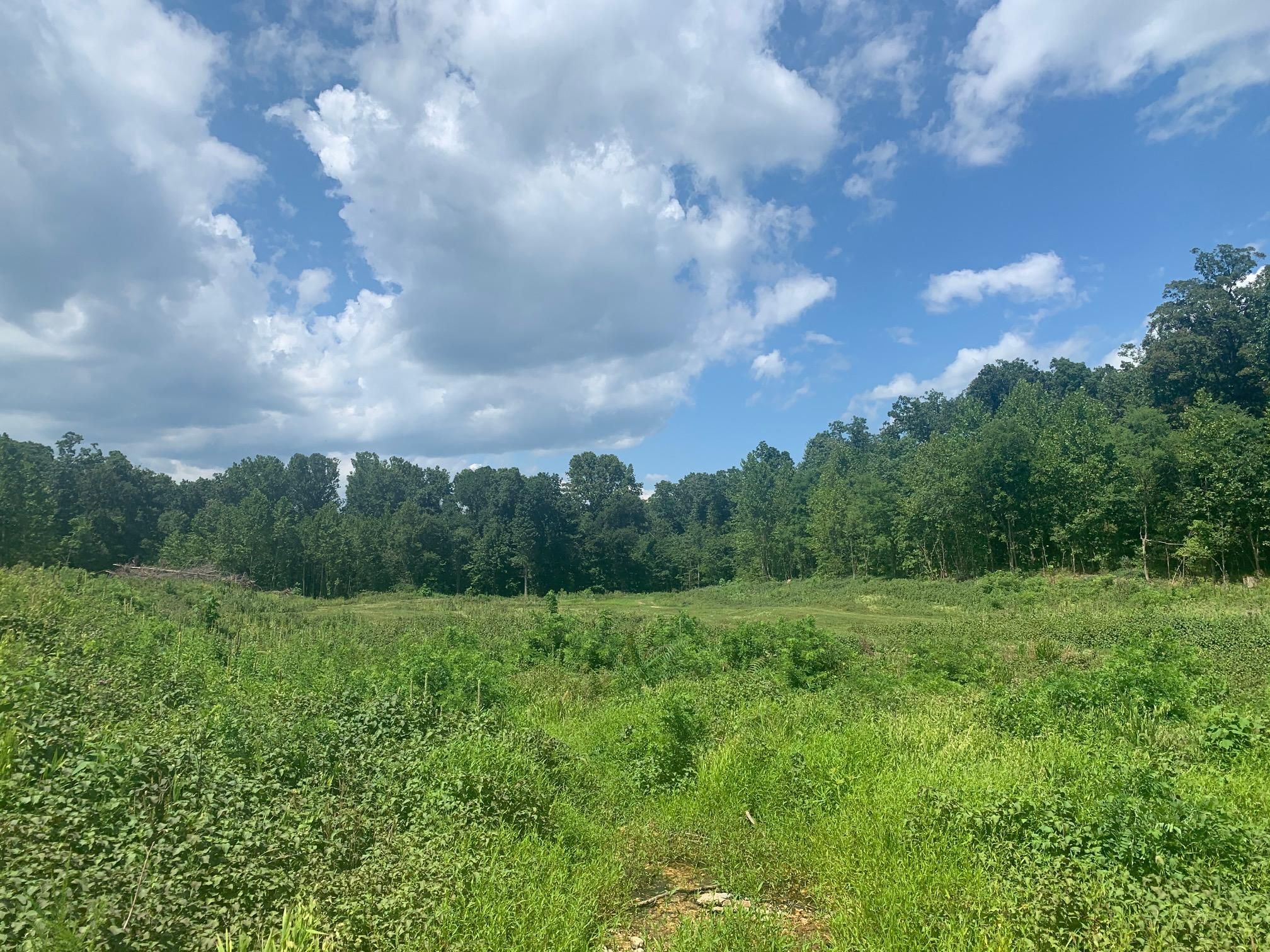 Grove, Delaware County, OK Undeveloped Land for sale Property ID