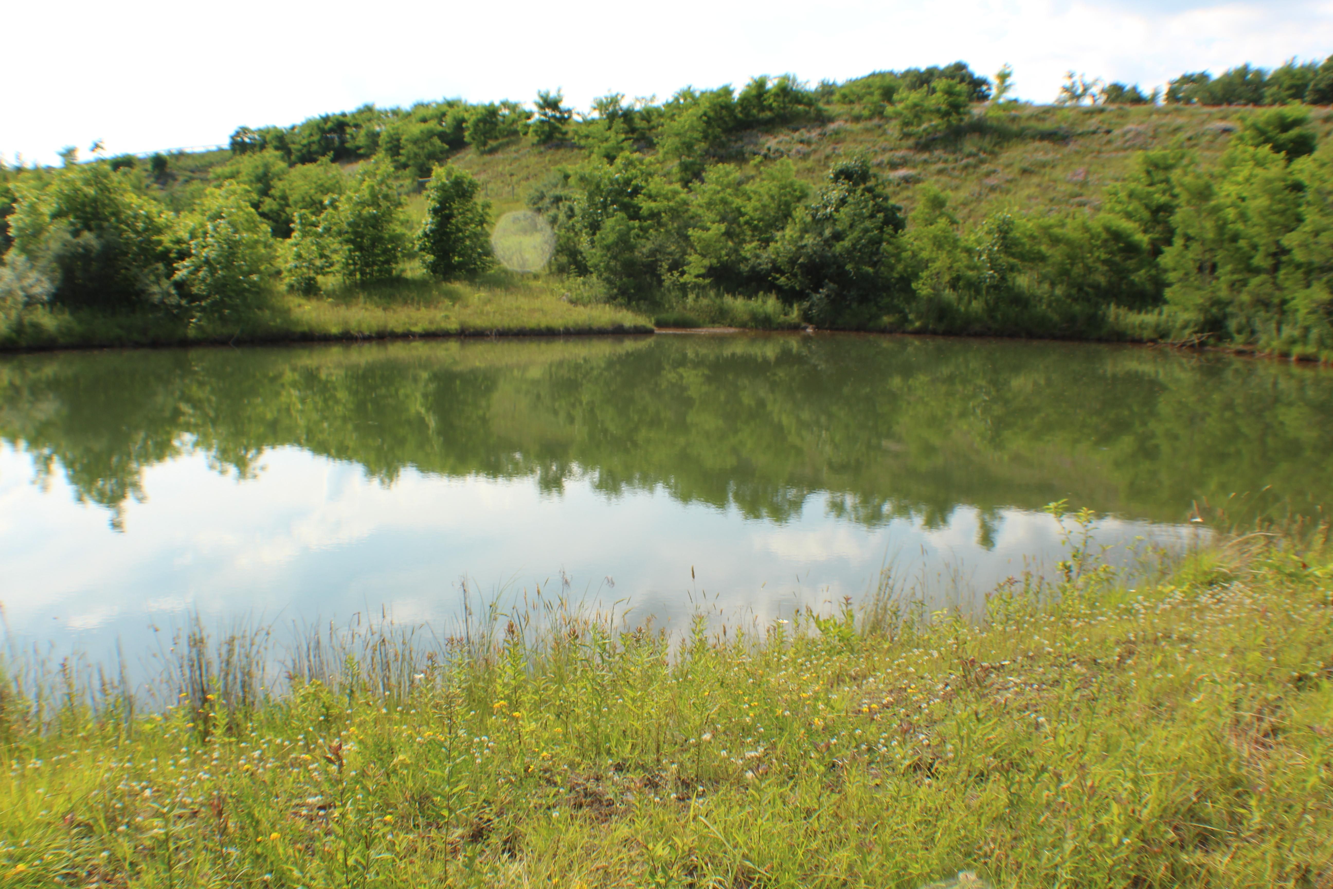 Mount Storm, Grant County, WV Farms and Ranches, Recreational Property