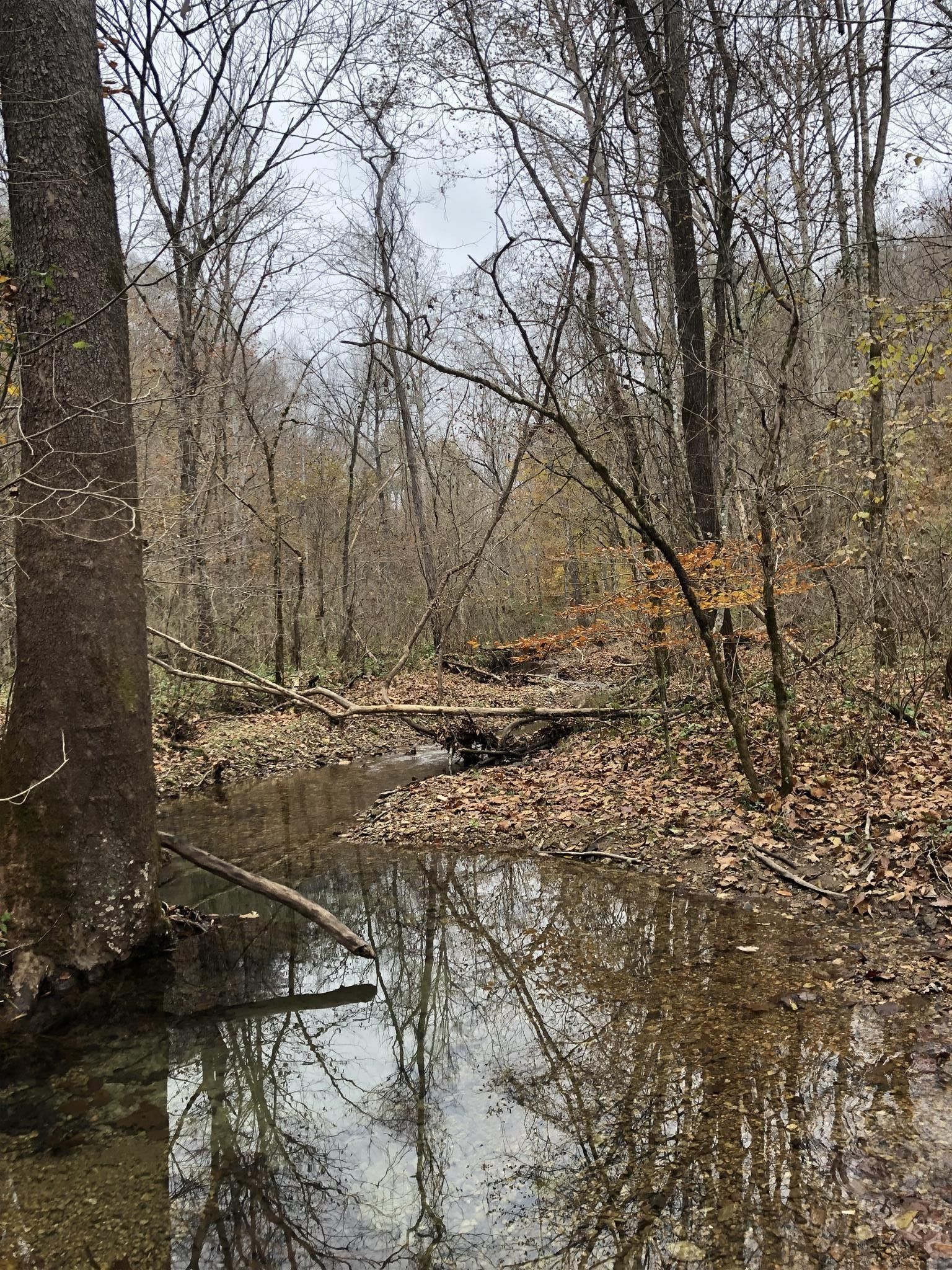 Red Boiling Springs, Macon County, TN Undeveloped Land for sale