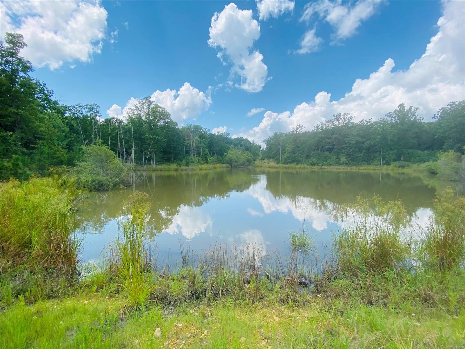 Bonne Terre, Washington County, MO Farms and Ranches for sale Property