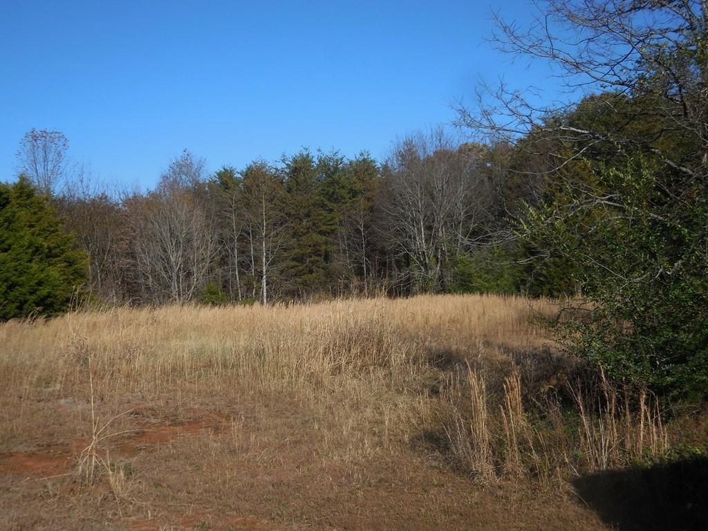 Monterey, Putnam County, TN Farms and Ranches, Undeveloped Land for