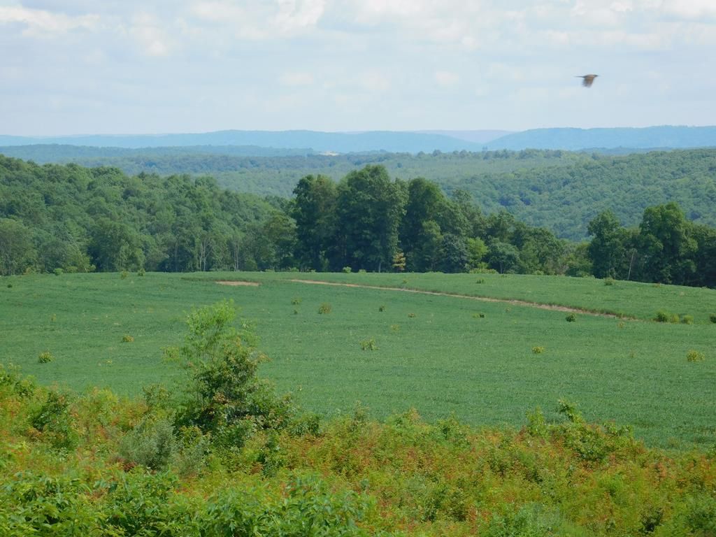 Millerstown, Juniata County, PA Undeveloped Land for sale Property ID