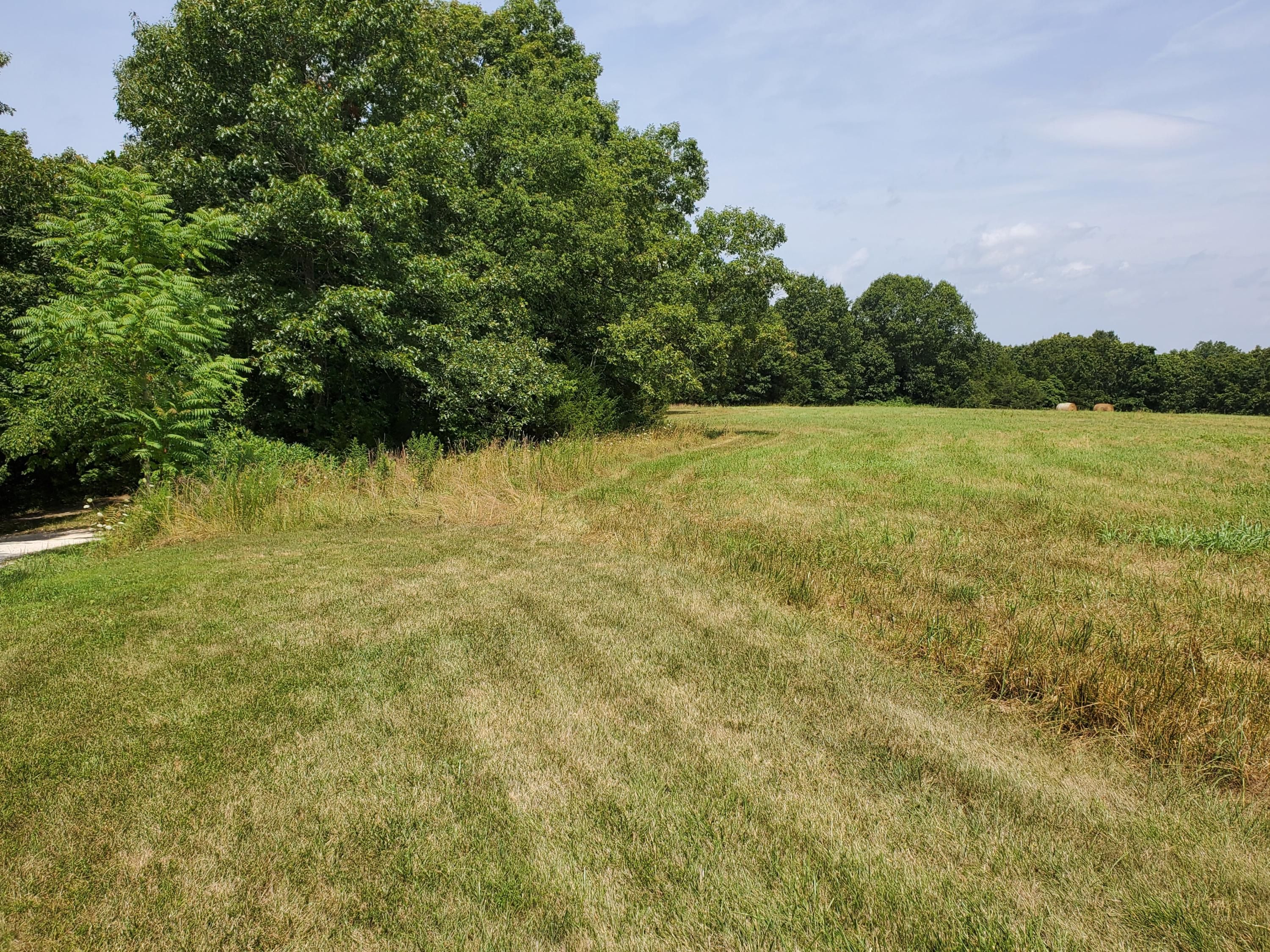 Sparta, Christian County, MO Undeveloped Land for sale Property ID