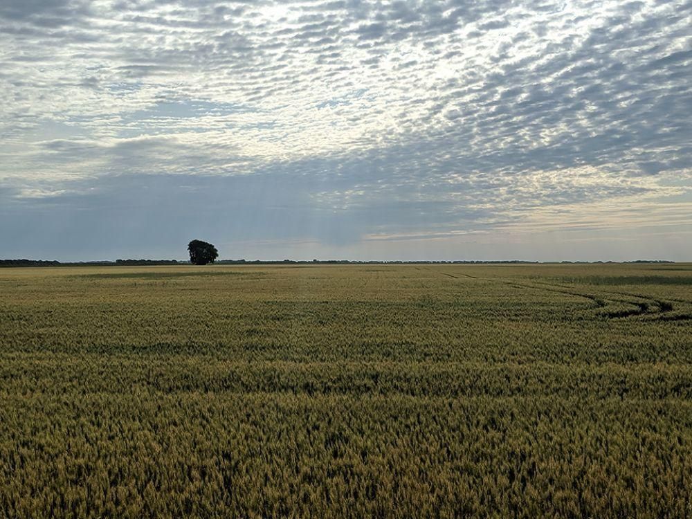 Alvarado, Polk County, MN Farms and Ranches for sale Property ID