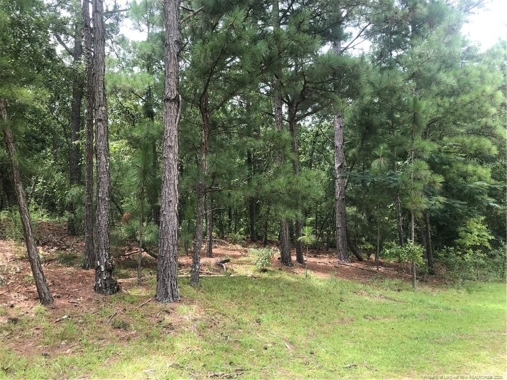 Raeford, Hoke County, NC Undeveloped Land for sale Property ID