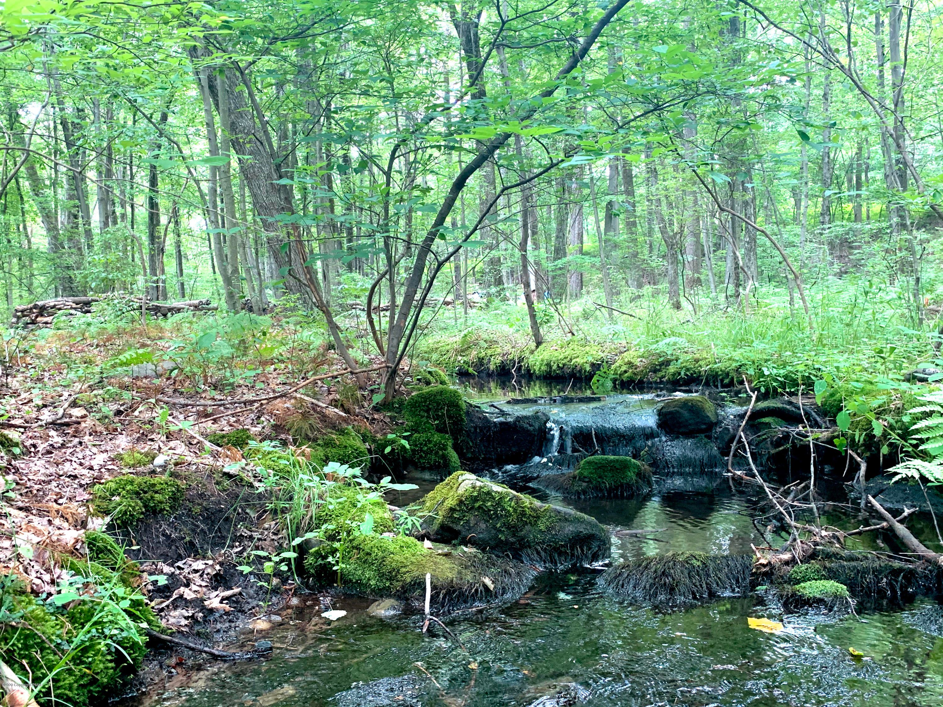 Cresco, Monroe County, PA Undeveloped Land, Lakefront Property