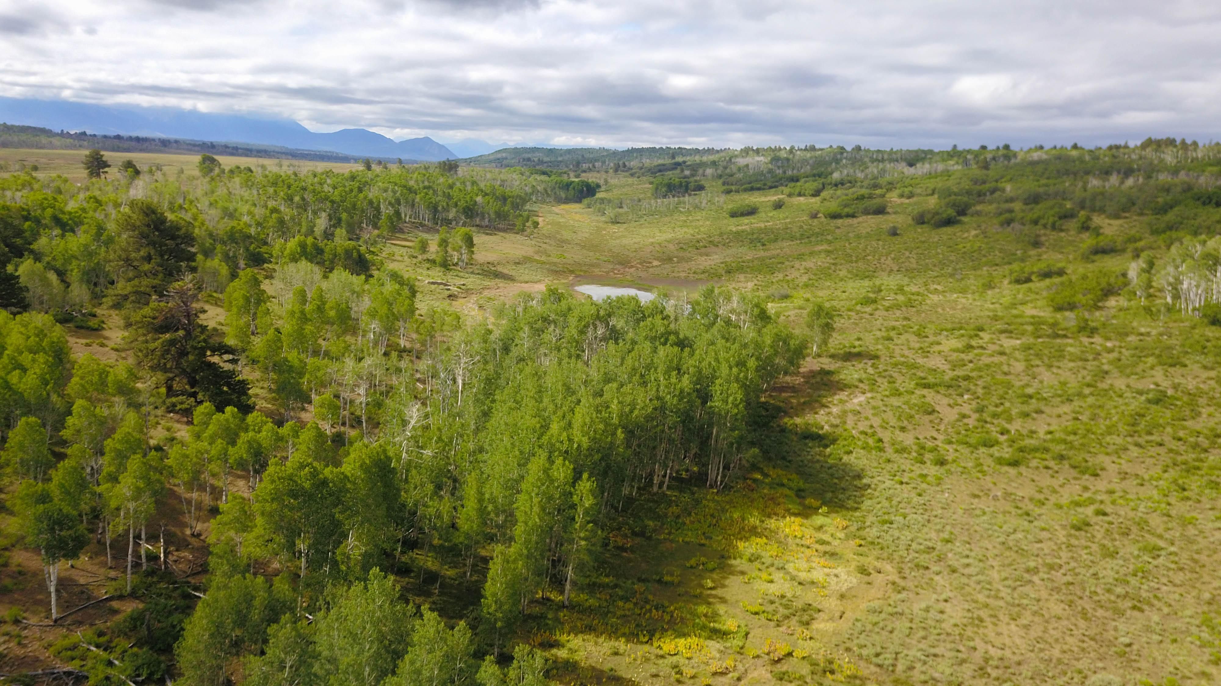 Montrose, Montrose County, CO Recreational Property for sale Property