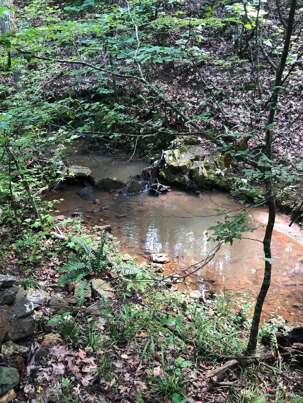 Ellerbe, Richmond County, NC Recreational Property, Timberland Property