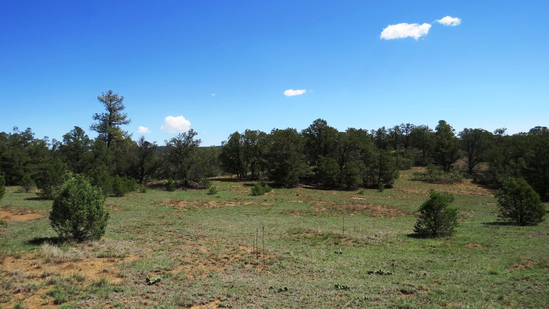 39 acres in Weston, CO, 81091 LandWatch