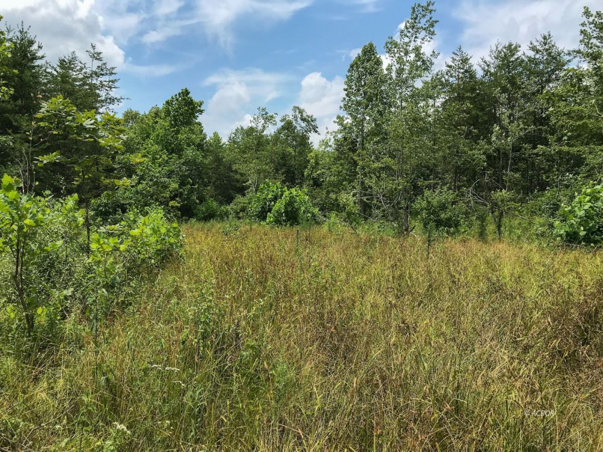 Bidwell, Gallia County, OH Undeveloped Land for sale Property ID