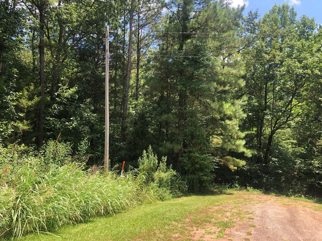 Abbeville, Abbeville County, SC Undeveloped Land for sale Property ID