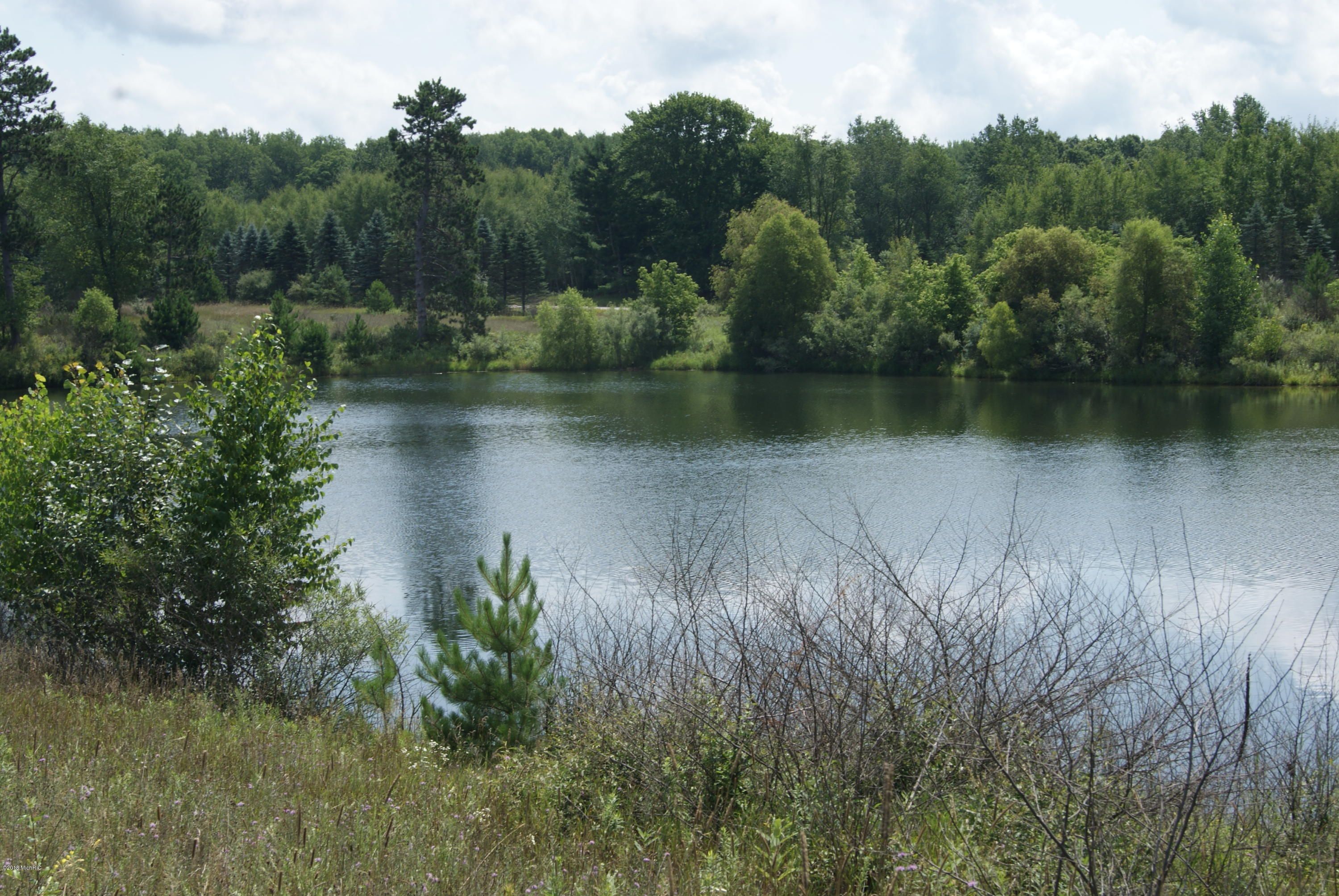 Canadian Lakes, Mecosta County, MI Undeveloped Land, Lakefront Property