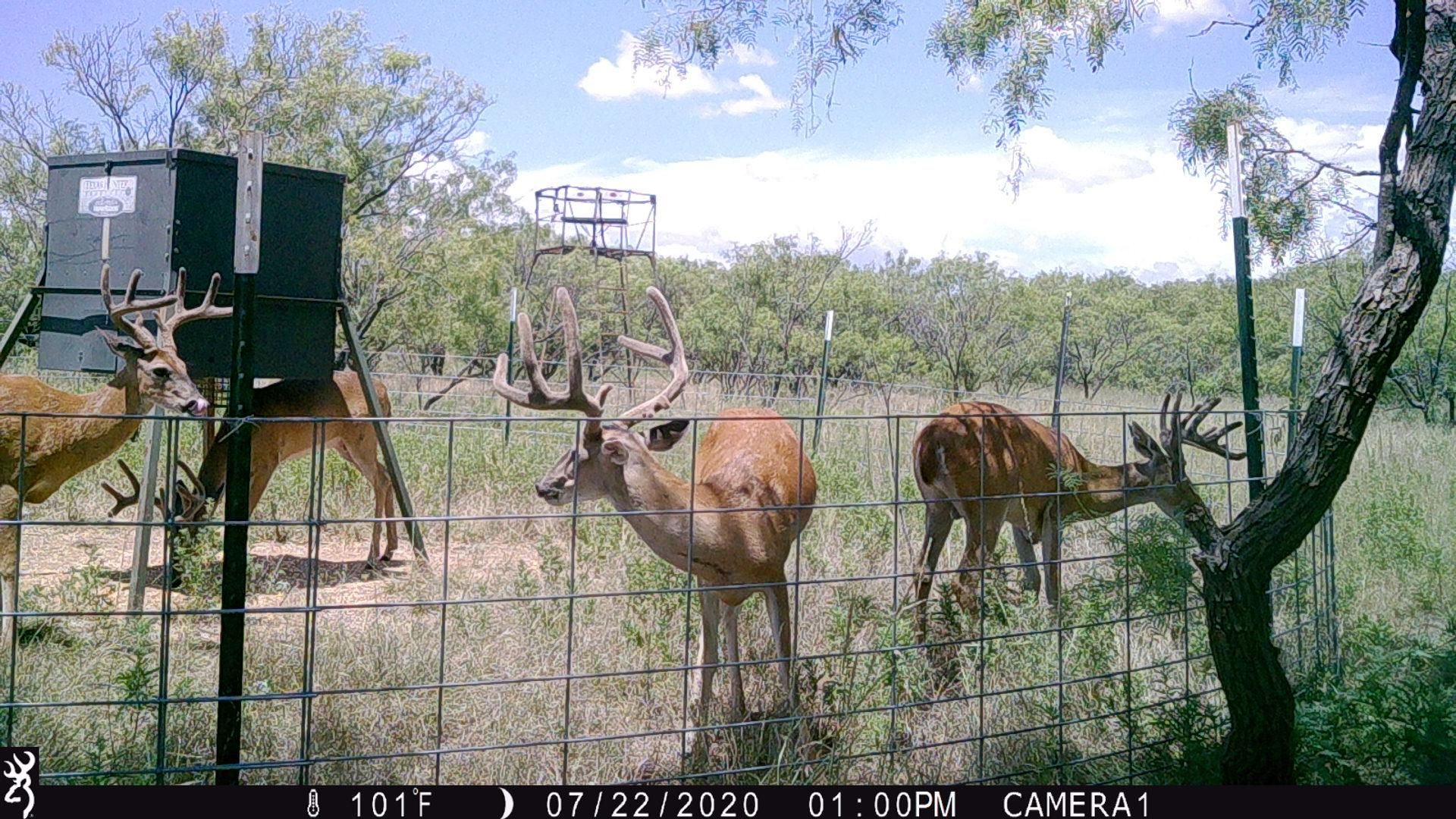 Olney, Young County, TX Farms and Ranches, Recreational Property