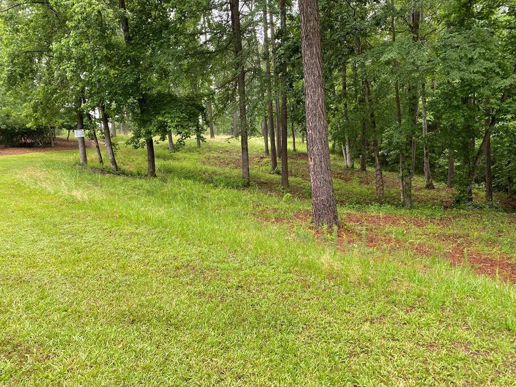 Lincolnton, Lincoln County, GA Recreational Property, Undeveloped Land