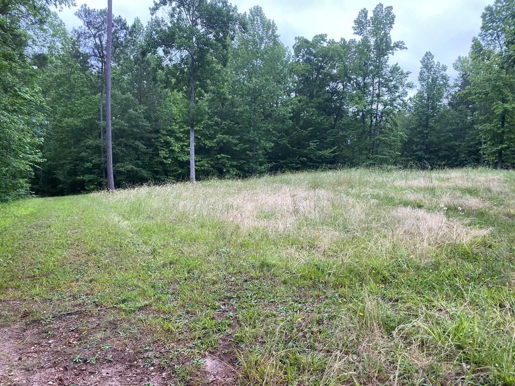 Tignall, Lincoln County, GA Recreational Property, Undeveloped Land