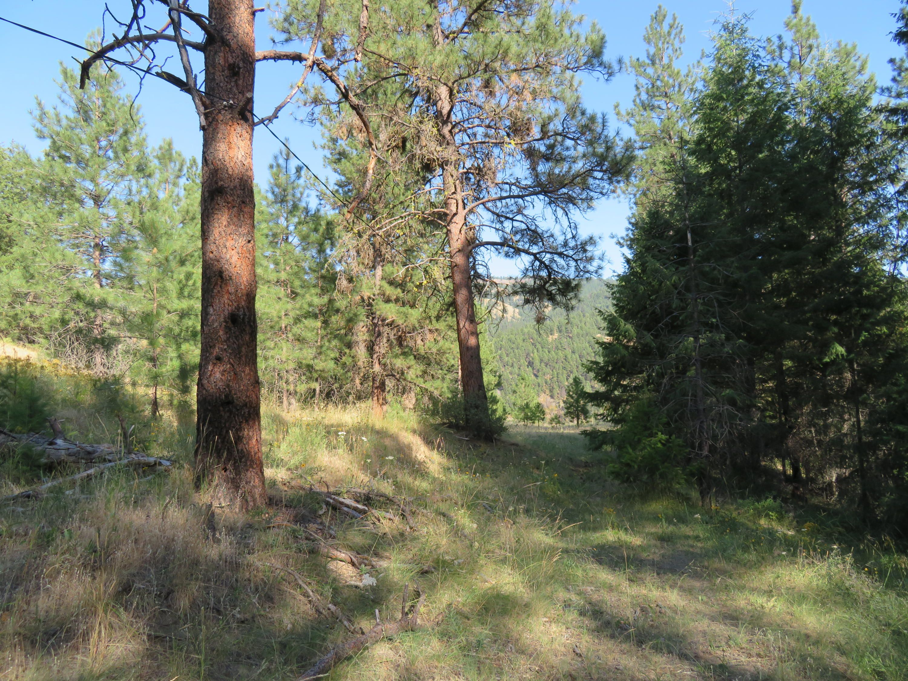Wauconda, Okanogan County, WA Undeveloped Land for sale Property ID