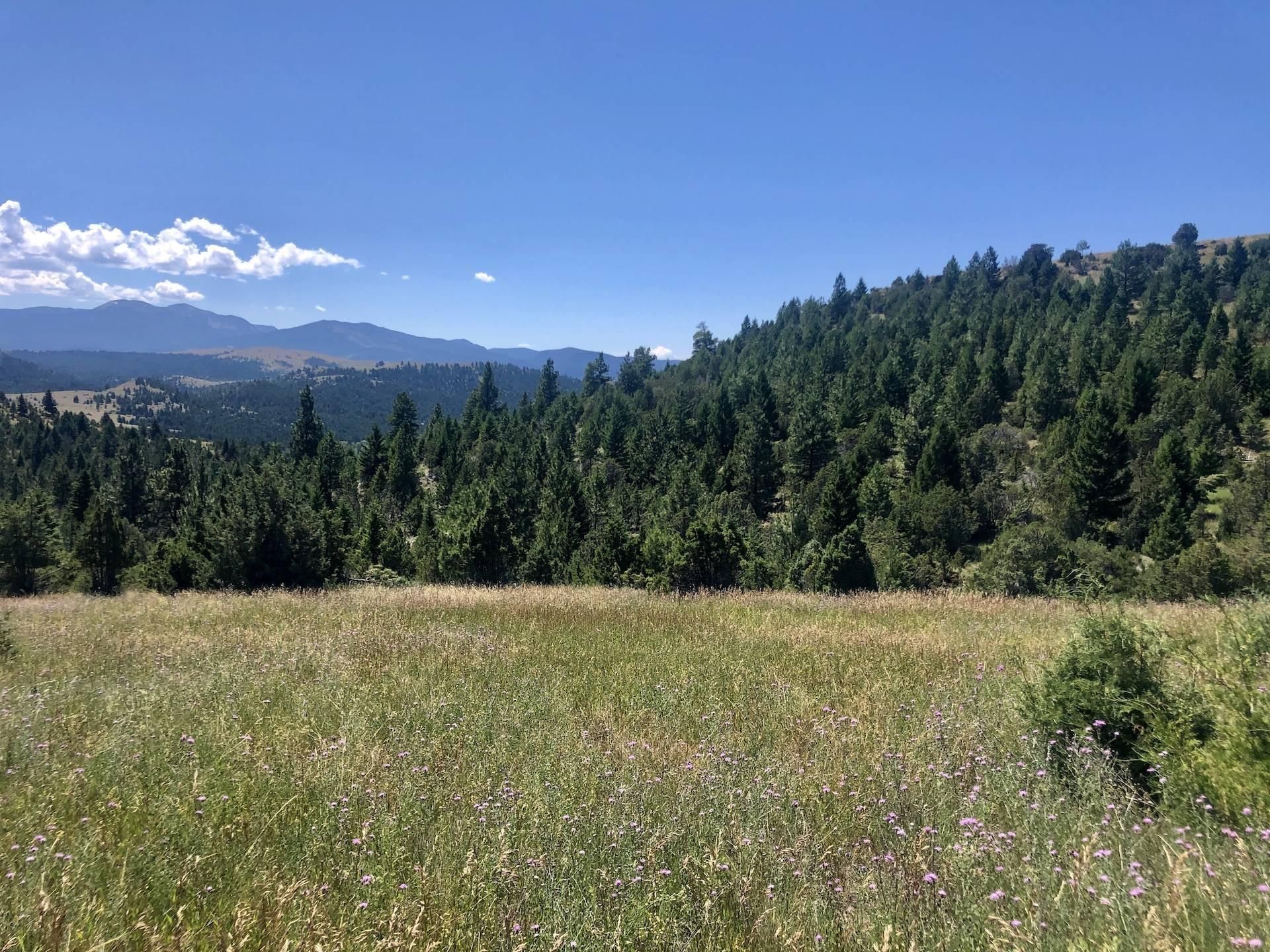 Garrison, Powell County, MT Recreational Property, Hunting Property