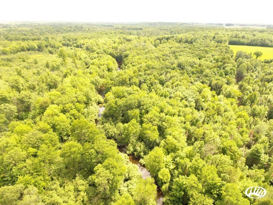 Rib Lake, Taylor County, WI Recreational Property, Timberland Property