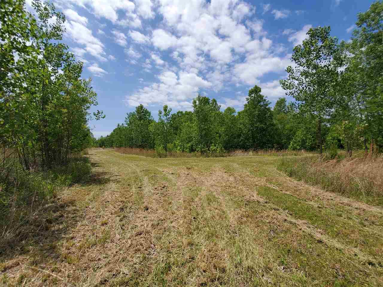 Drummonds, Tipton County, TN Undeveloped Land for sale Property ID 338204145 LandWatch