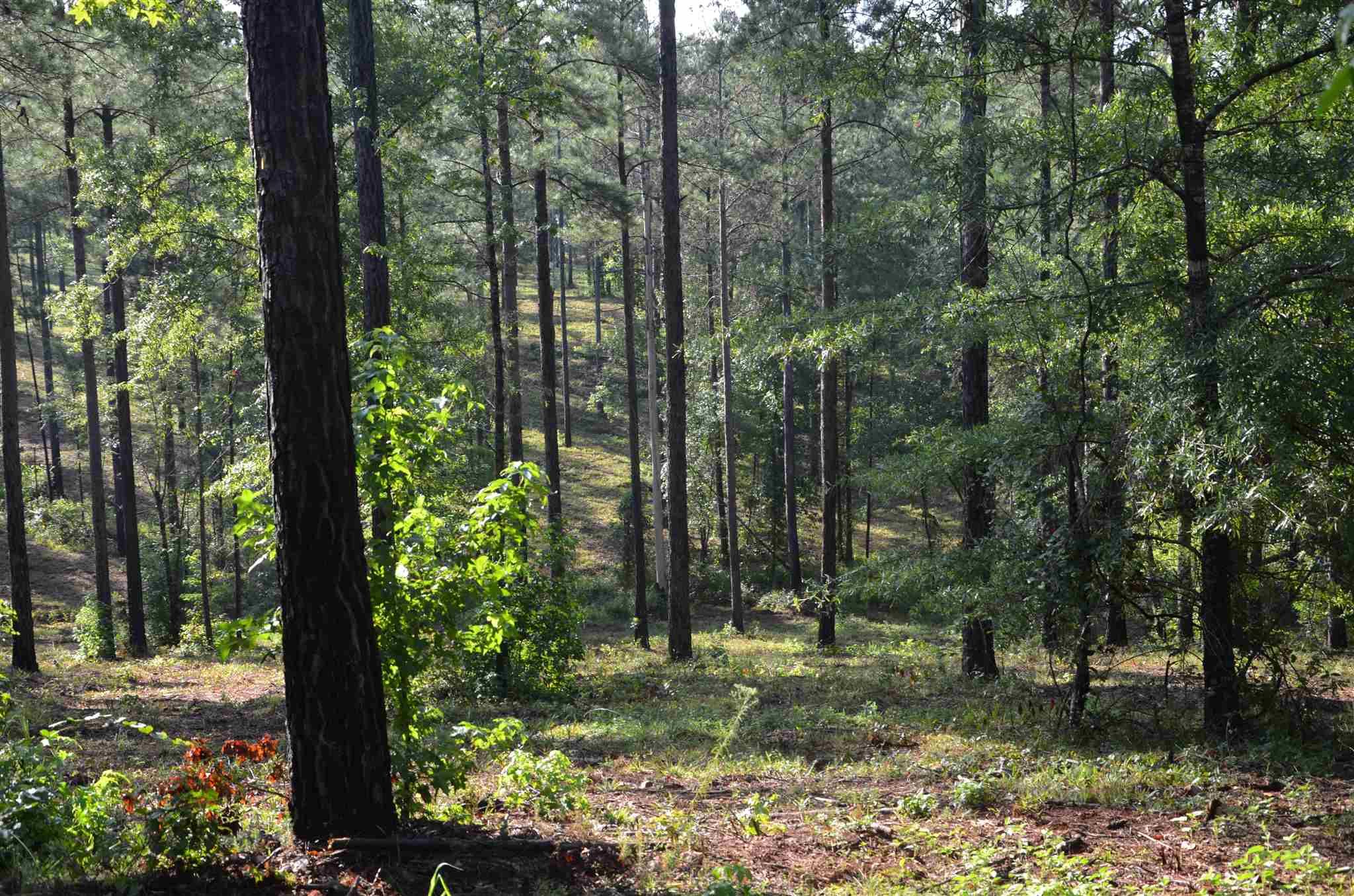 Eatonton, Putnam County, GA Undeveloped Land for sale Property ID